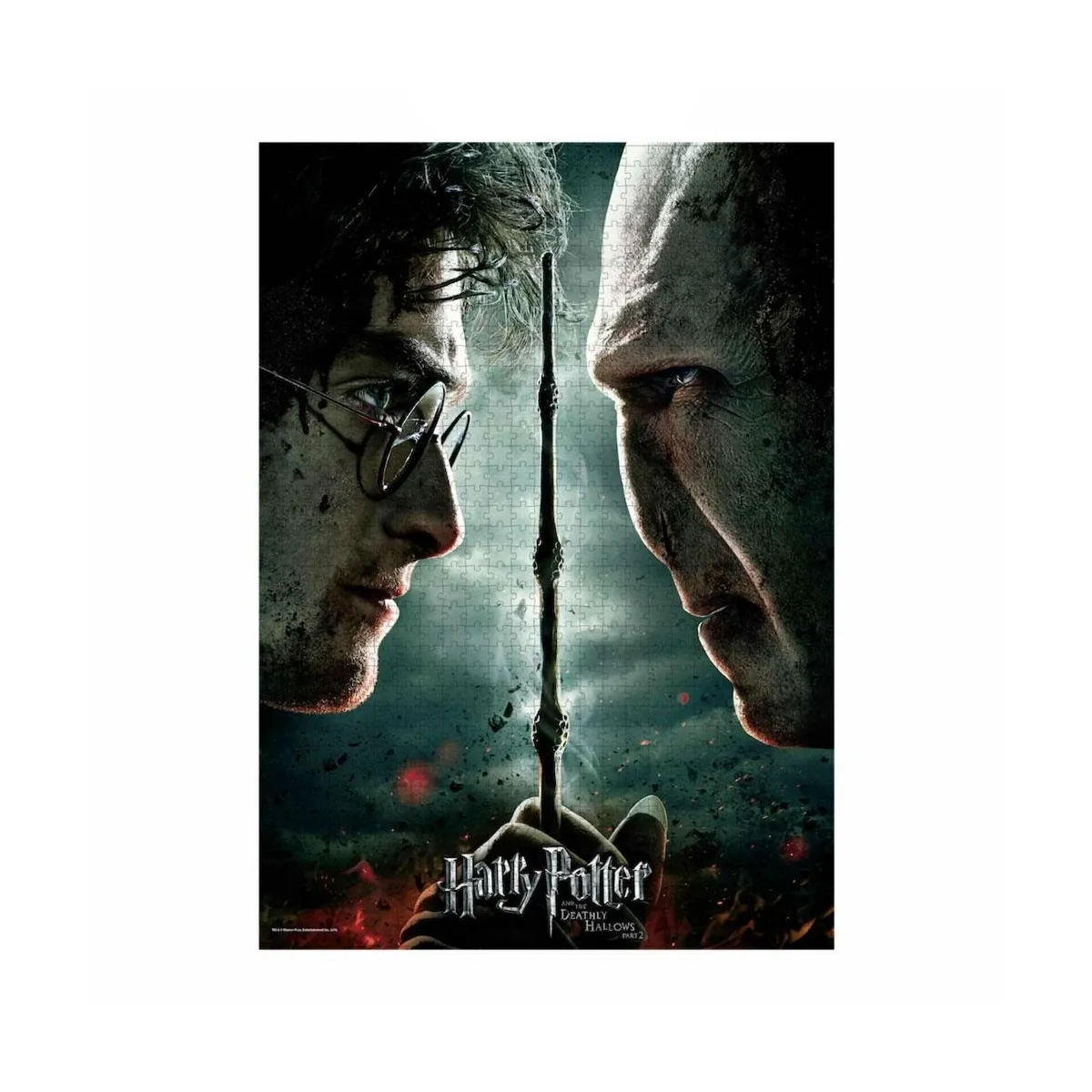 Sd toys Puzzle Harry Potter Voldemort 1000 pièces