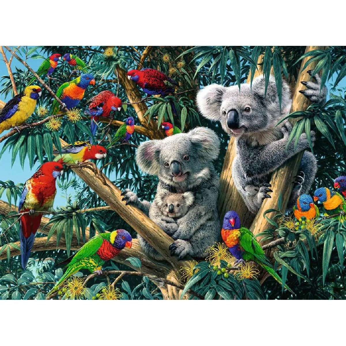 Puzzle 500 pièces Koalas dans 'arbre Ravensburger France - vue 9