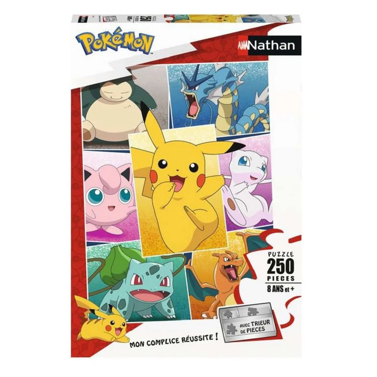Puzzle 250 pièces : Types de Pokémon Ravensburger Nathan