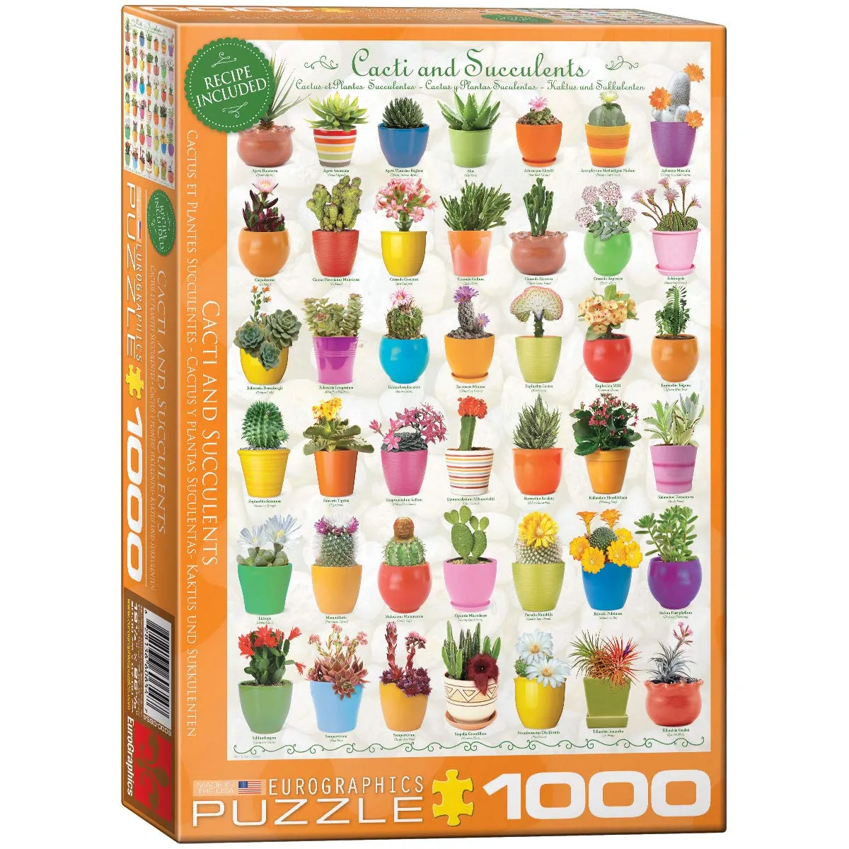 Non Communiqué Puzzle 1000 Pièces : Cactus Eurographics - Image 2