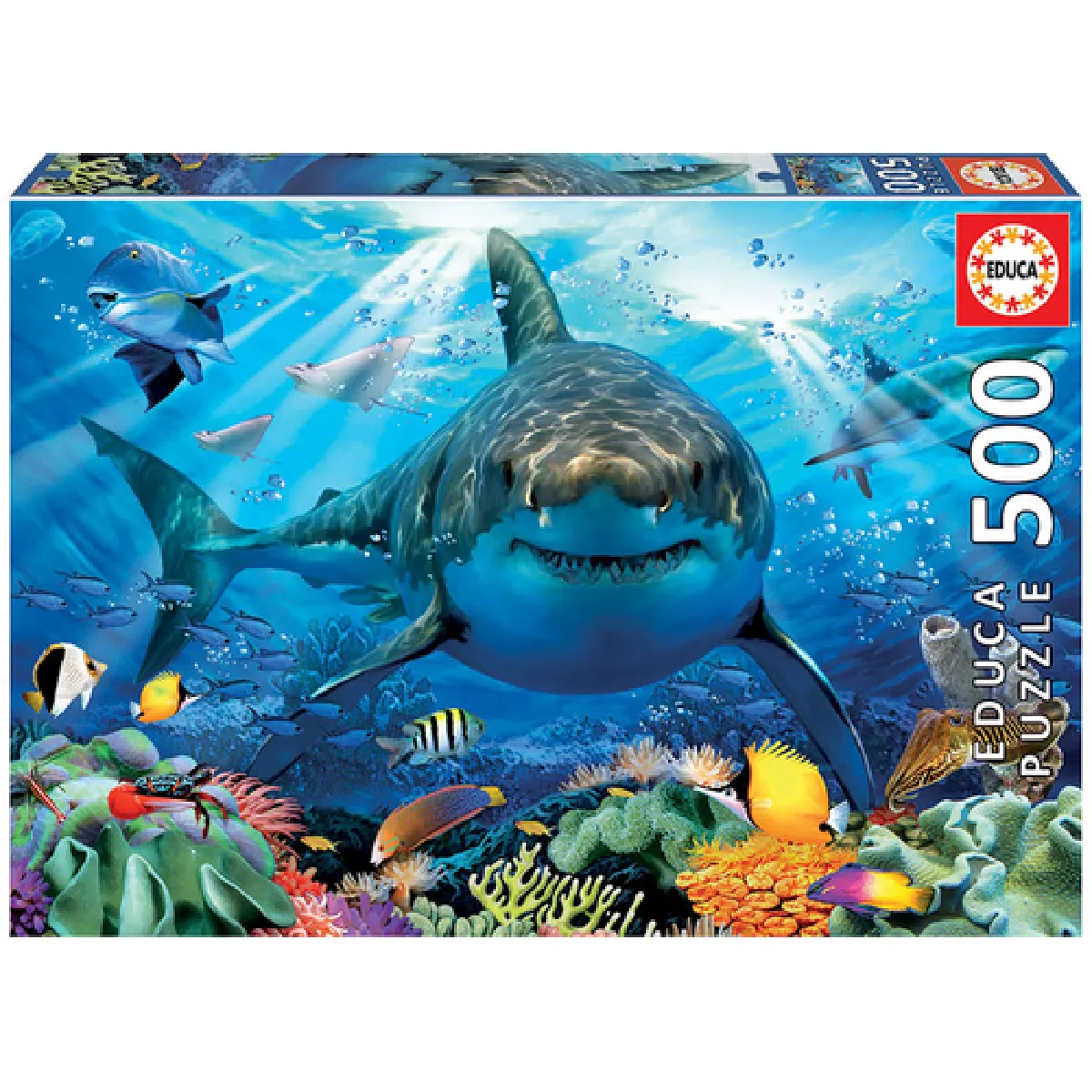 Educa Puzzle adulte Requin blanc 500 pièces