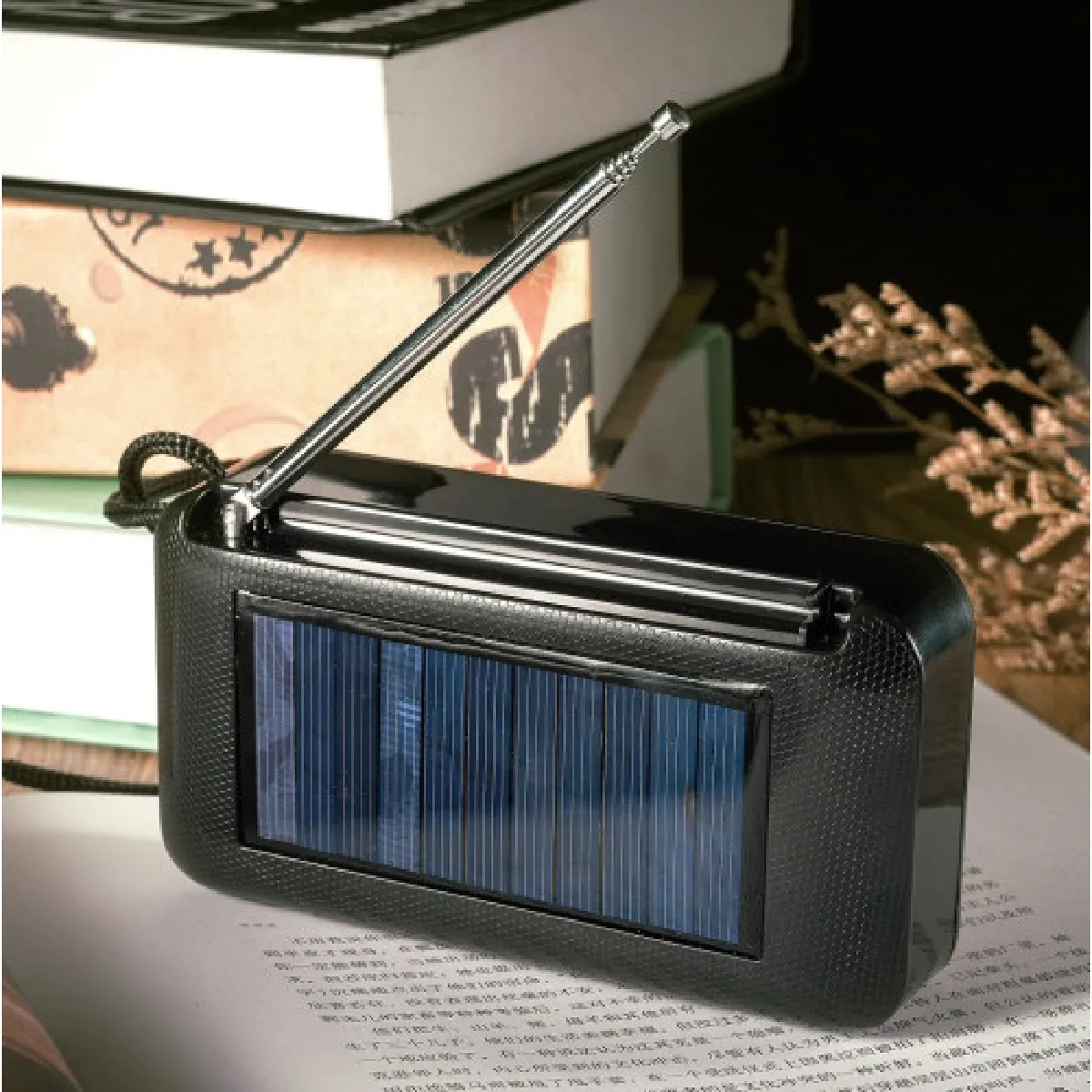 Inovalley Radio solaire
