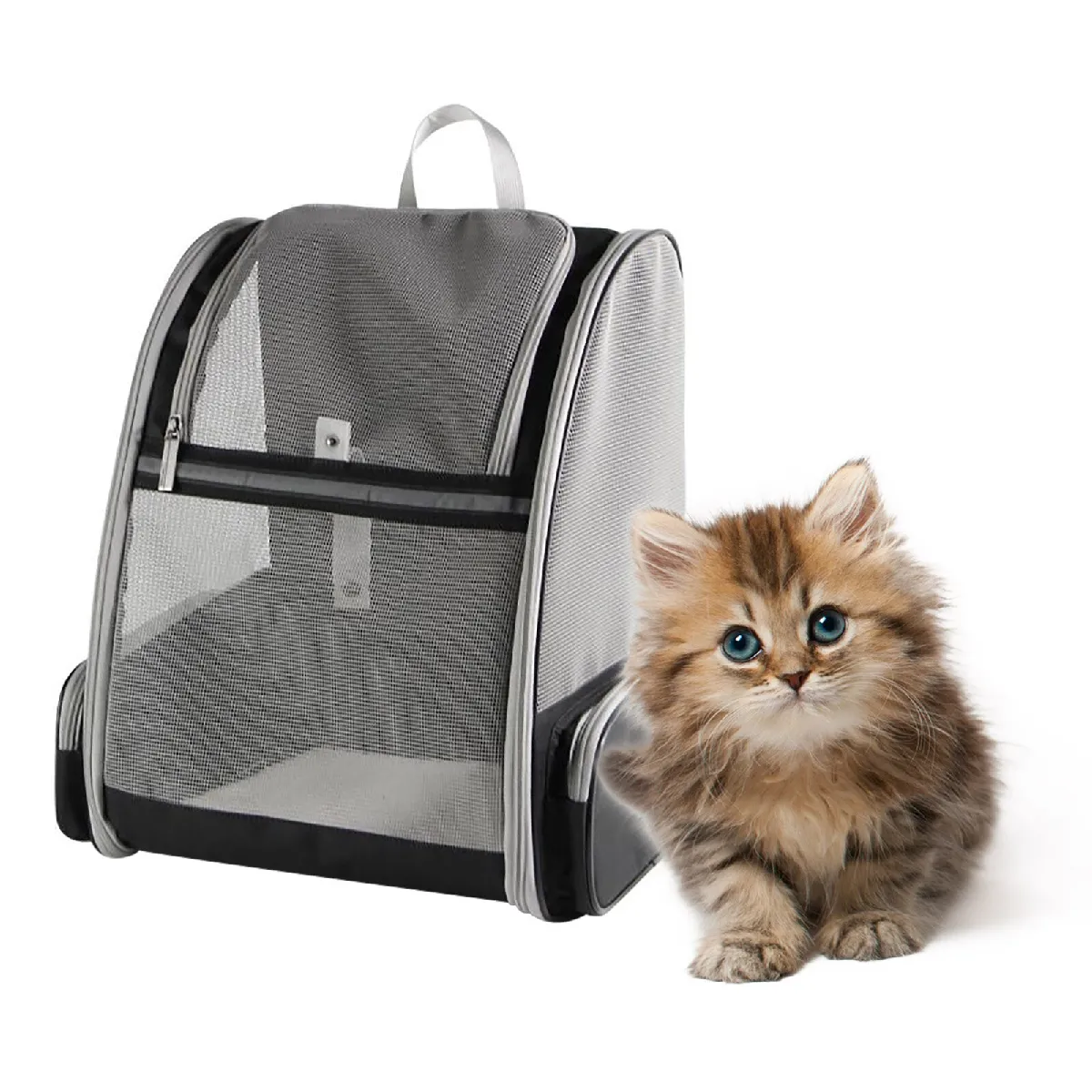 Comparer les prix de Sac transport chat Universel
