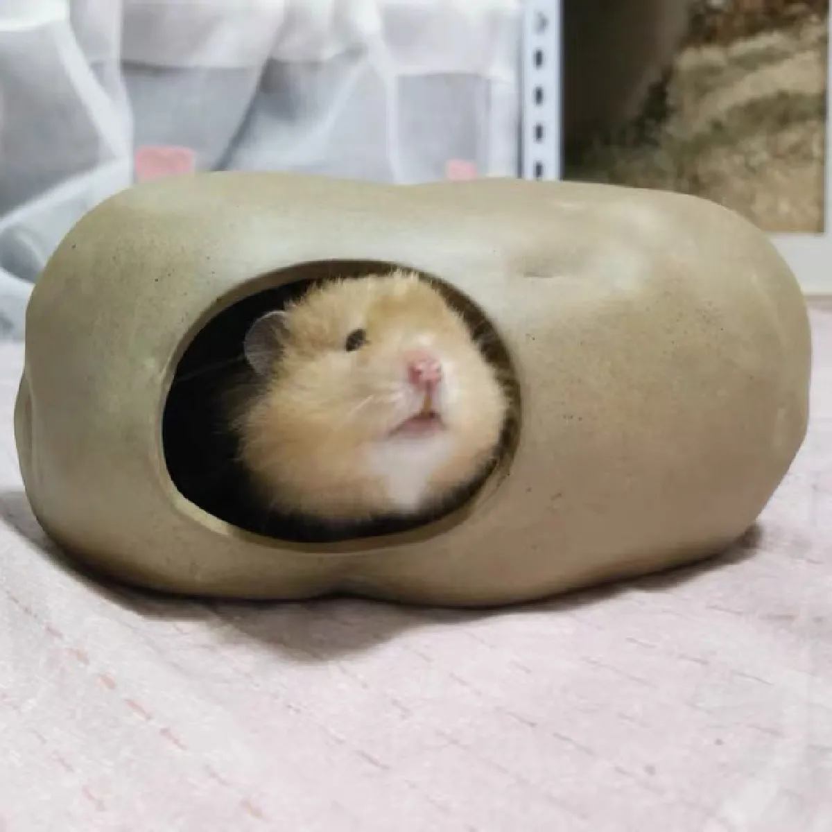 Comparer les prix de Universal Maison Refroidissante pour Hamster