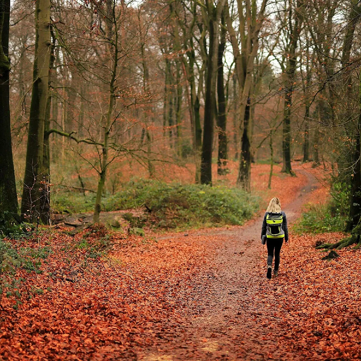 Comparer les prix de Sac Transport pour Chien Pet Sac à Dos Cage Transport pour Animaux Gris/Vert