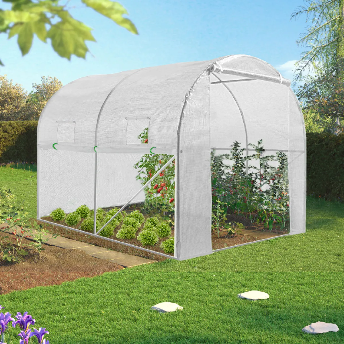 MARKET Serre Tunnel 6M² ROMA
