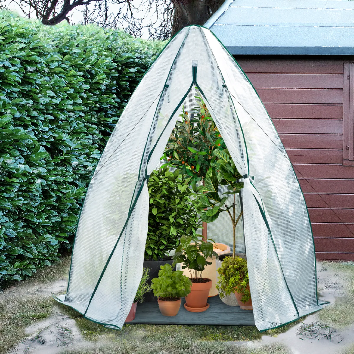 MARKET Serre dôme hiver