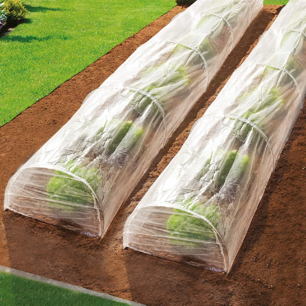 MARKET Tunnels 4M Forcage