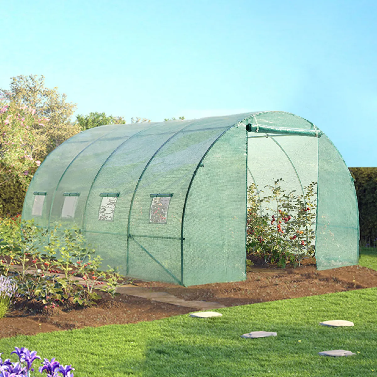 MARKET Serre tunnel 12M²