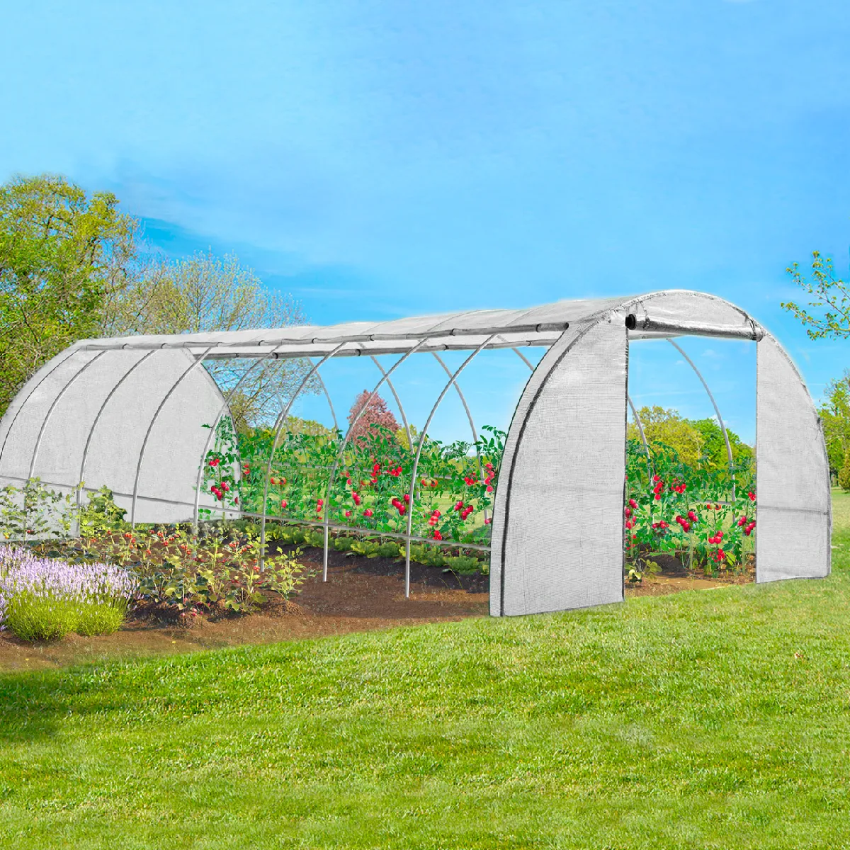MARKET Serre jardin 4 SA