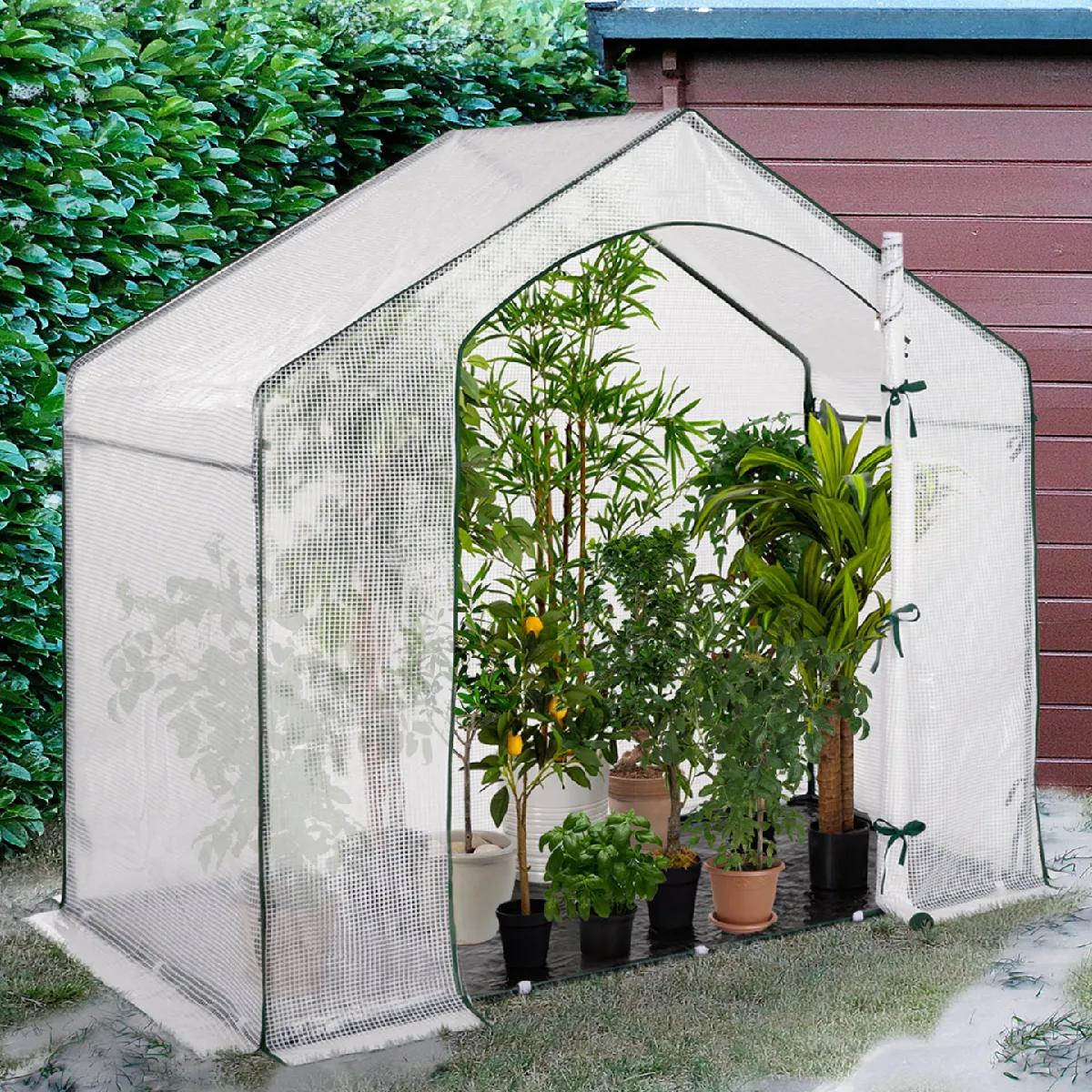 MARKET Serre d'hivernage maison 200x80 cm