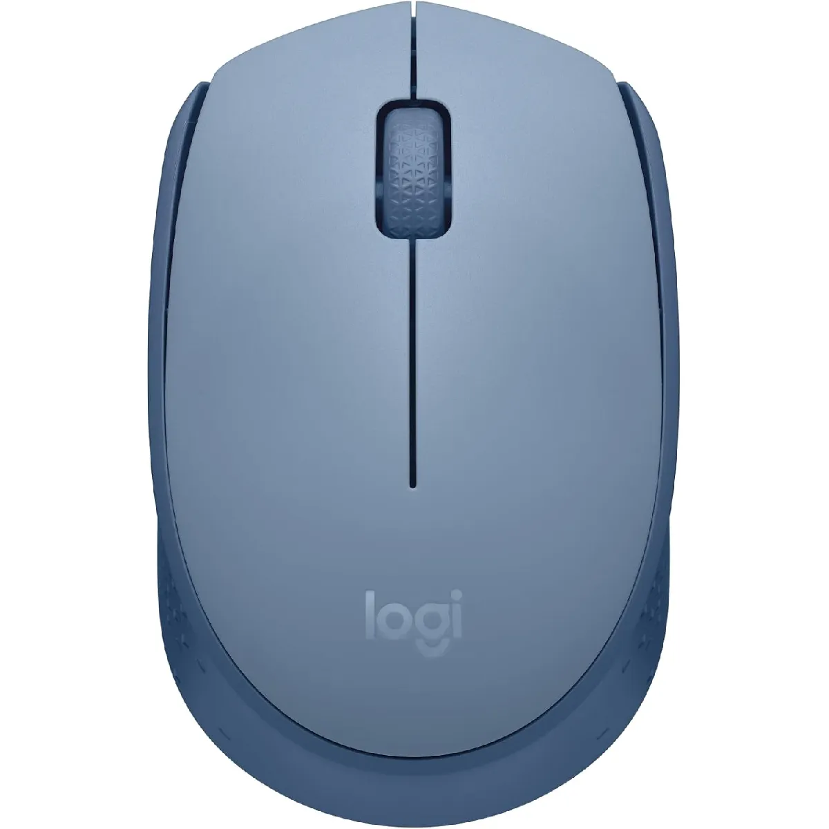 Logitech M171 Wireless Mouse (Bleu Gris)