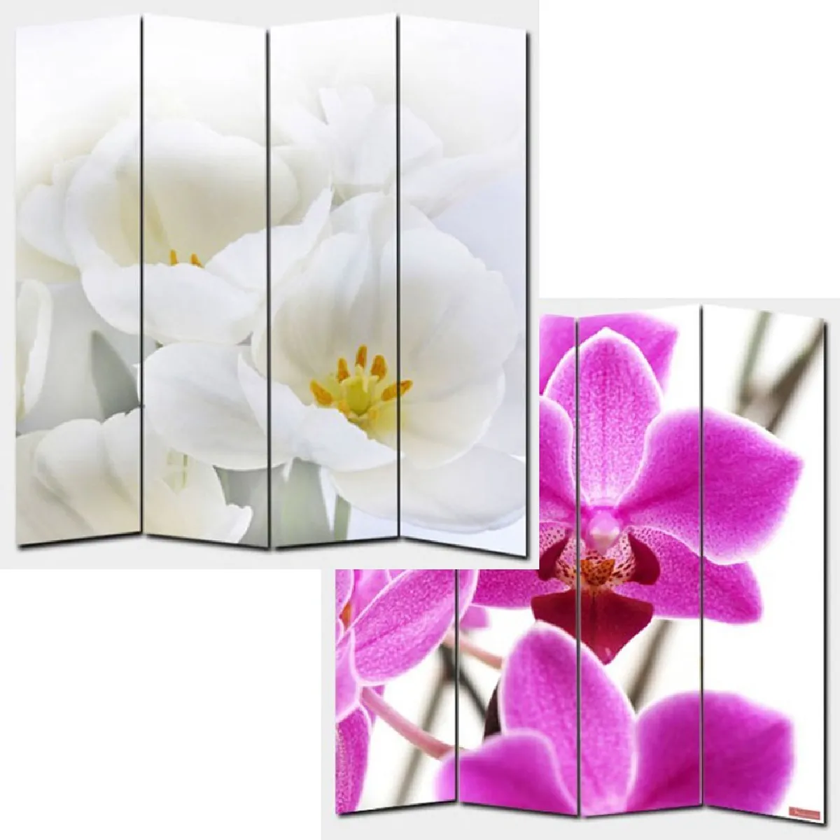 Paravent orchidee
