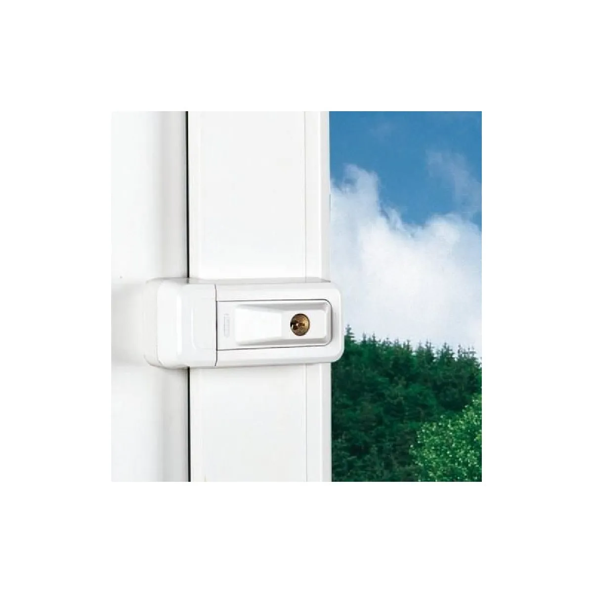 ABUS 3010