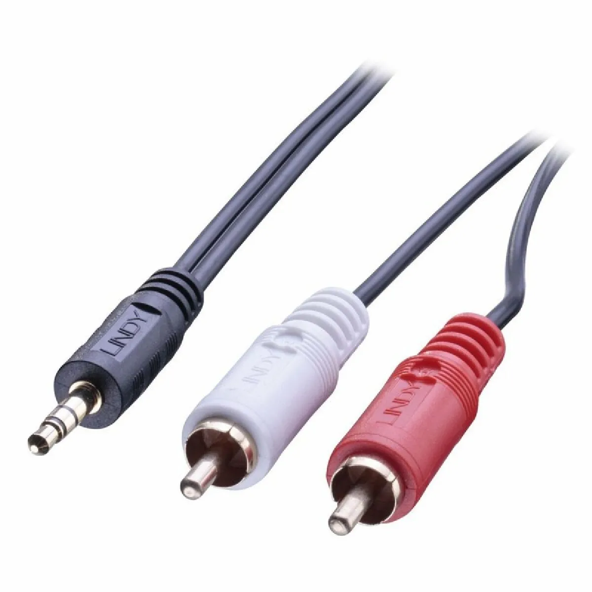 Lindy Premium Cable Audio 2 2M Noir de Inmac Wstore - Image 4