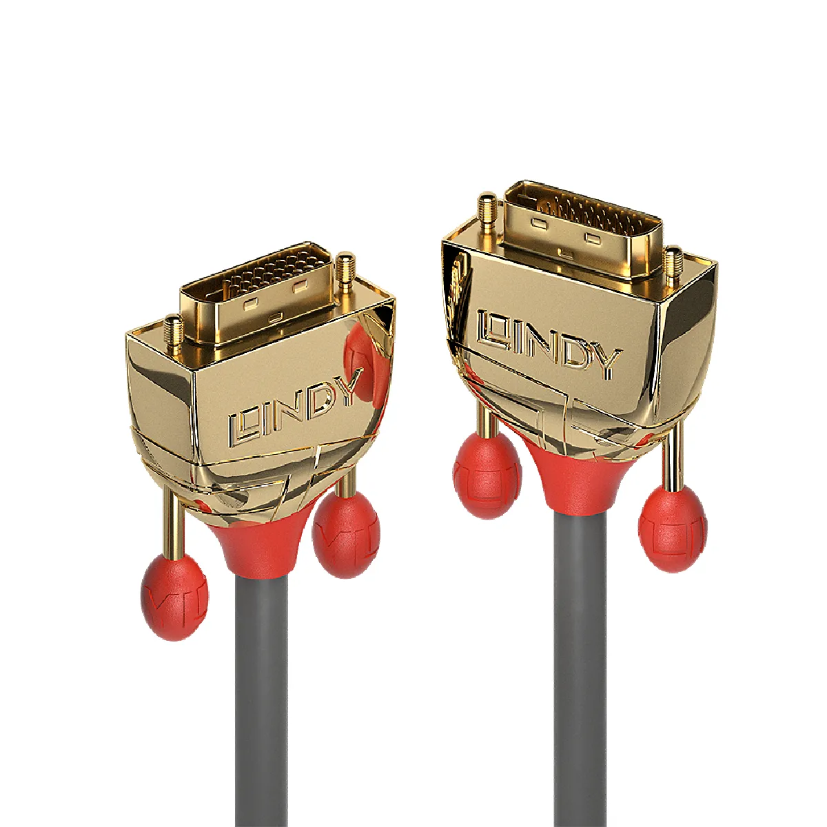 Lindy Gold Cable Dvi Dvi-D Pour Dvi-D 5 5M Gris de Inmac Wstore - Image 4