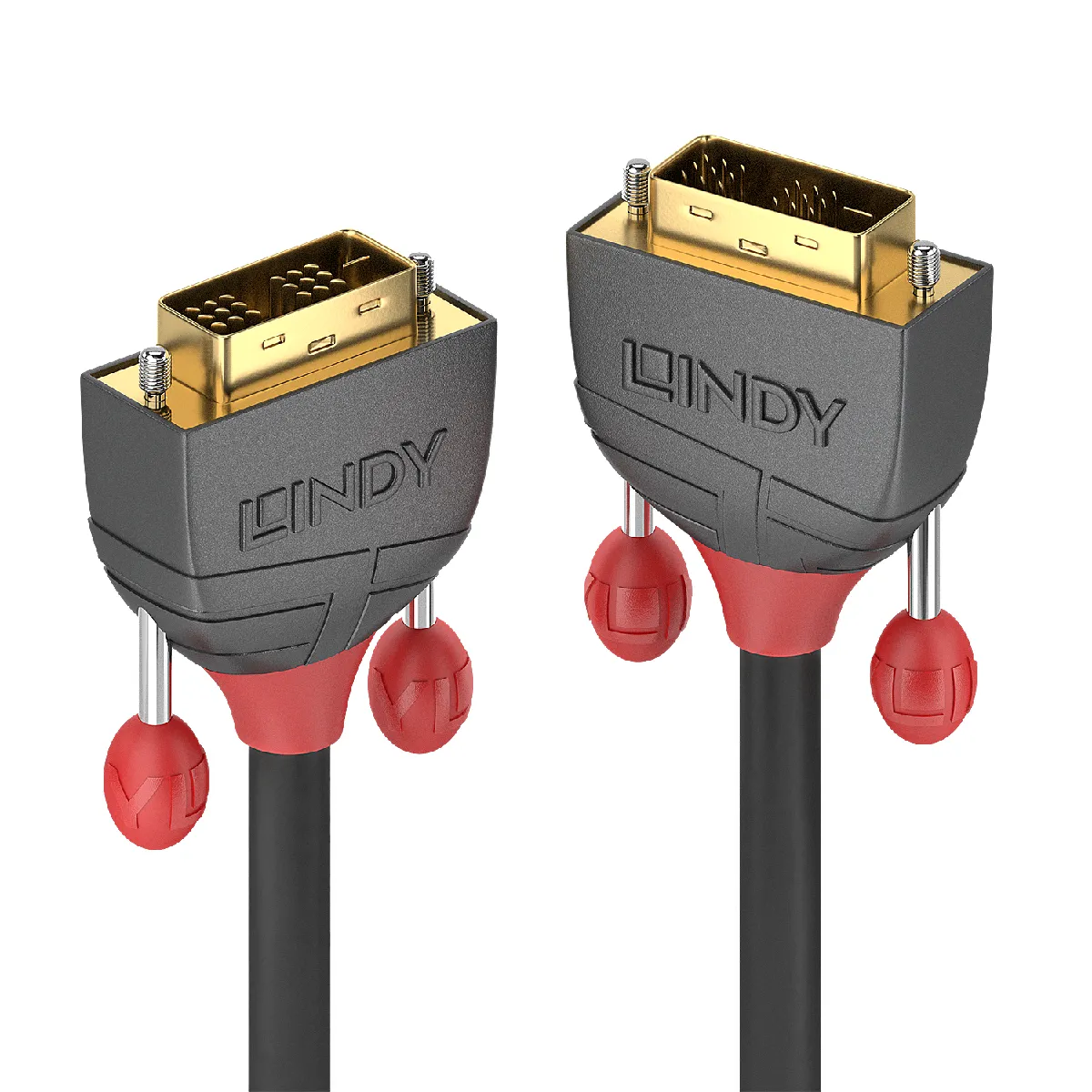Lindy Noir Câble Dvi-D - 10 M