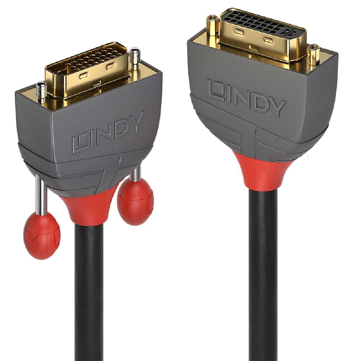 Lindy Noir Câble Dvi-D Vers Dvi-I - 2 M