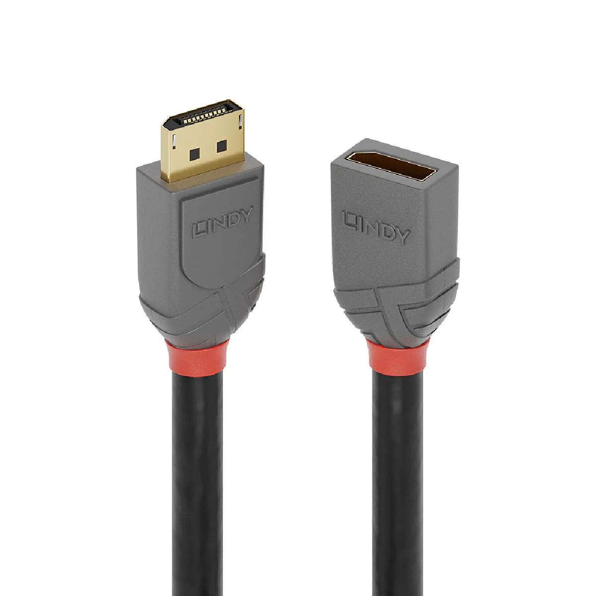 Lindy 36495 Displayport 0,5 M