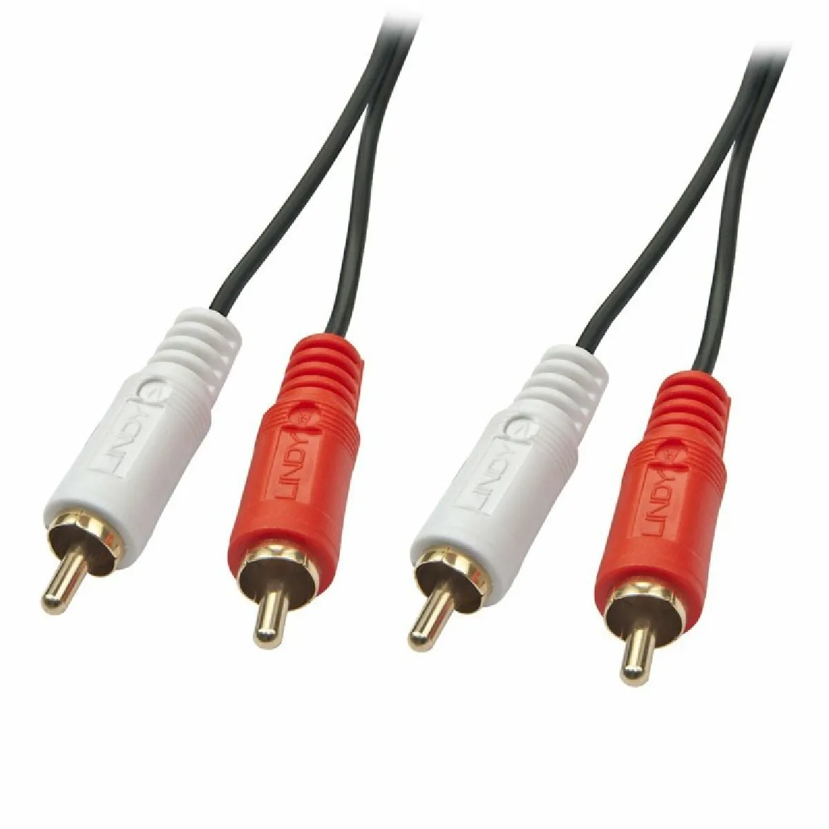 Lindy Blanc Câble Audio Rca