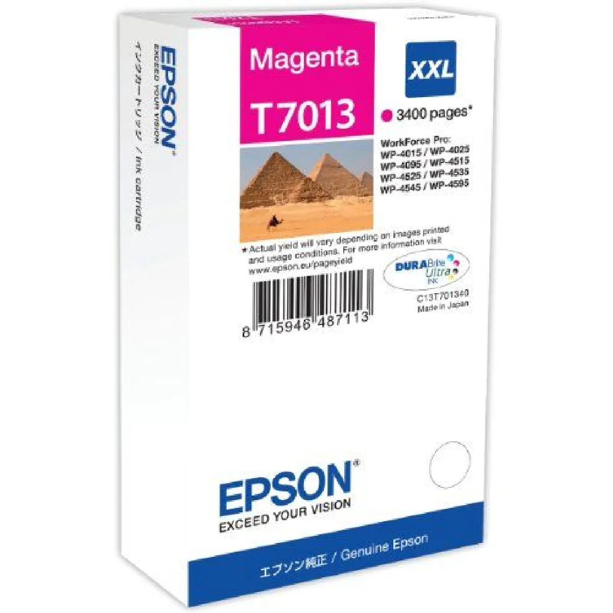 Epson BT7013