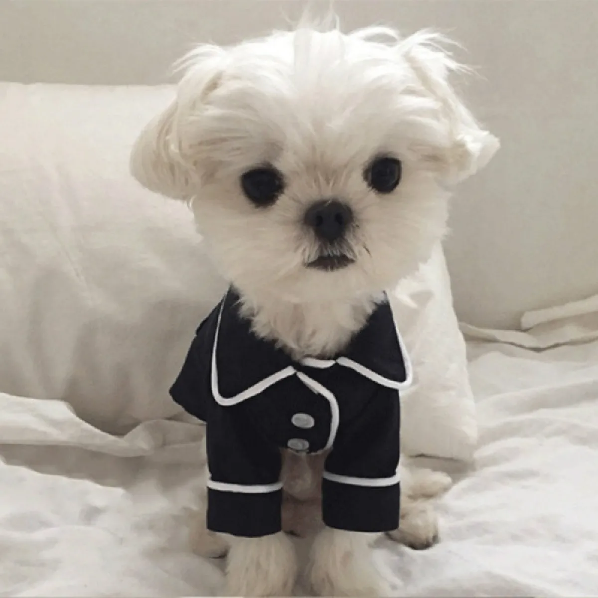 Comparer les prix de Wewoo Pyjama pour chien - L noir