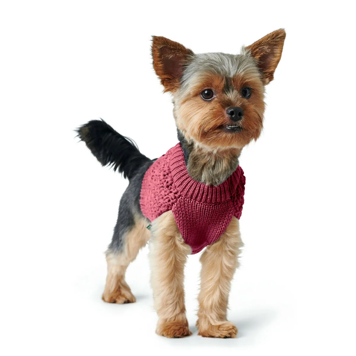 Pull pour Chien Hunter Malmö - Rouge Bordeaux
