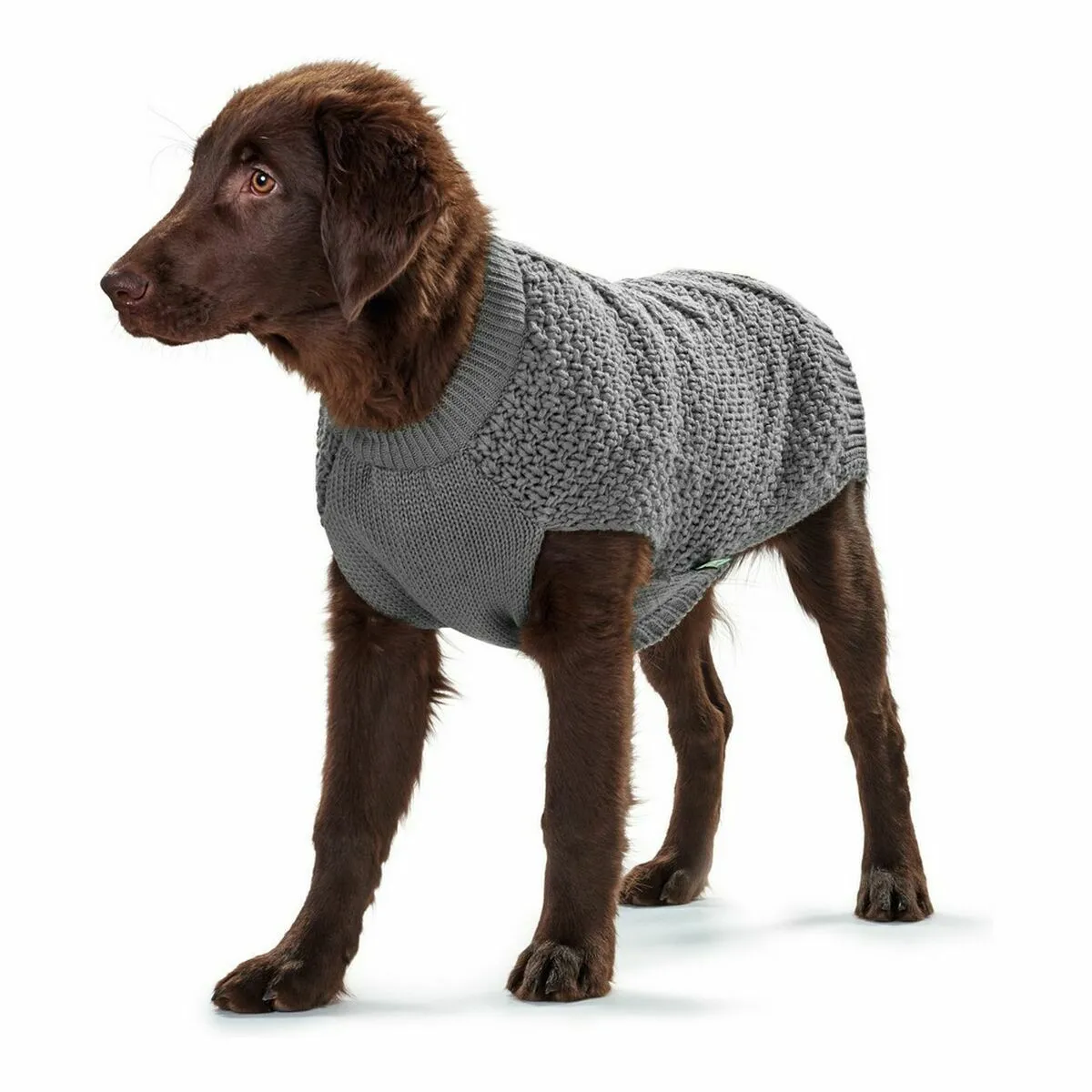 Hunter Pull pour chien Malmö 30 cm Hunter Pull pour chien Malmö 30 cm