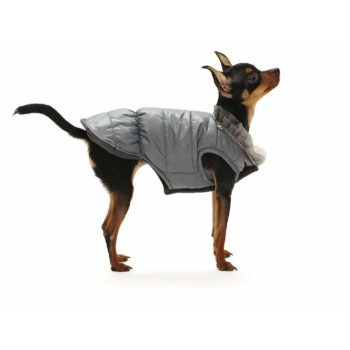 Meilleurs prix pour Croci Blouson Peluche Feather pour Chien 45 cm