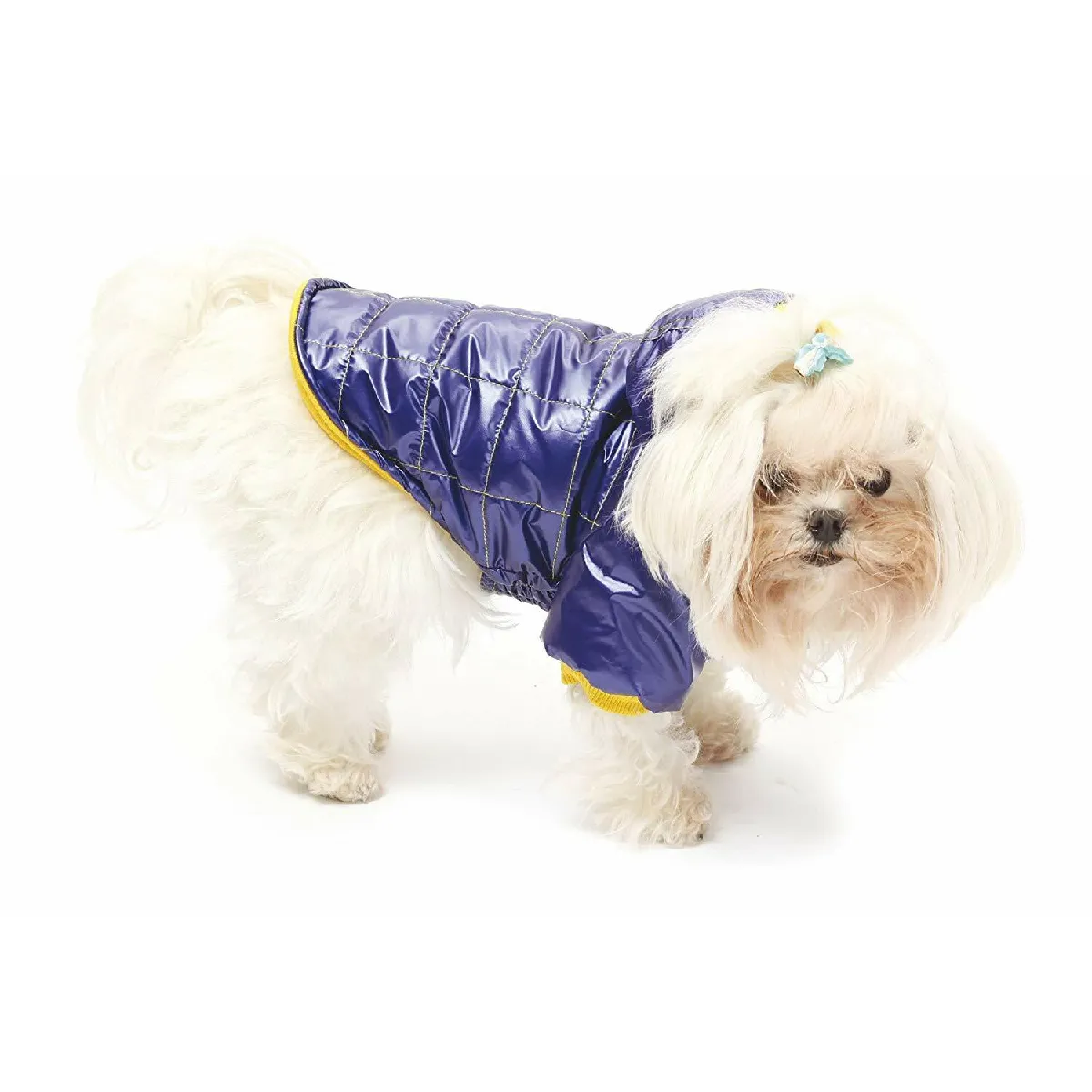 Meilleurs prix pour Croci Blouson Peluche Jester pour Chien 20 cm