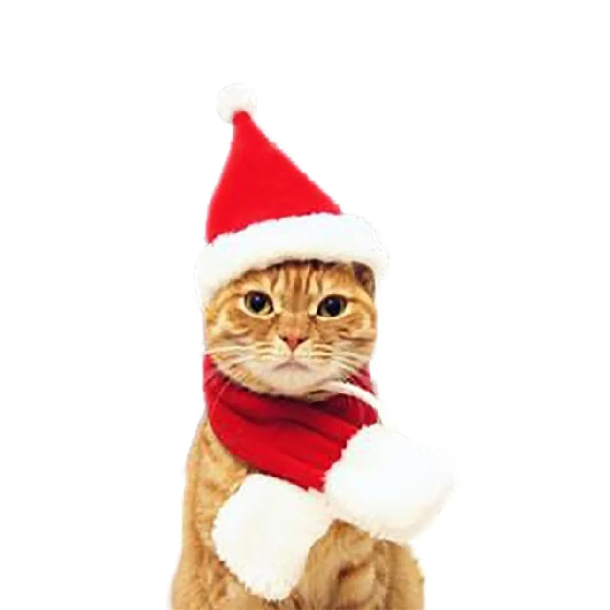 Meilleurs prix pour Wewoo Chapeau de Noël pour chat - Taille S