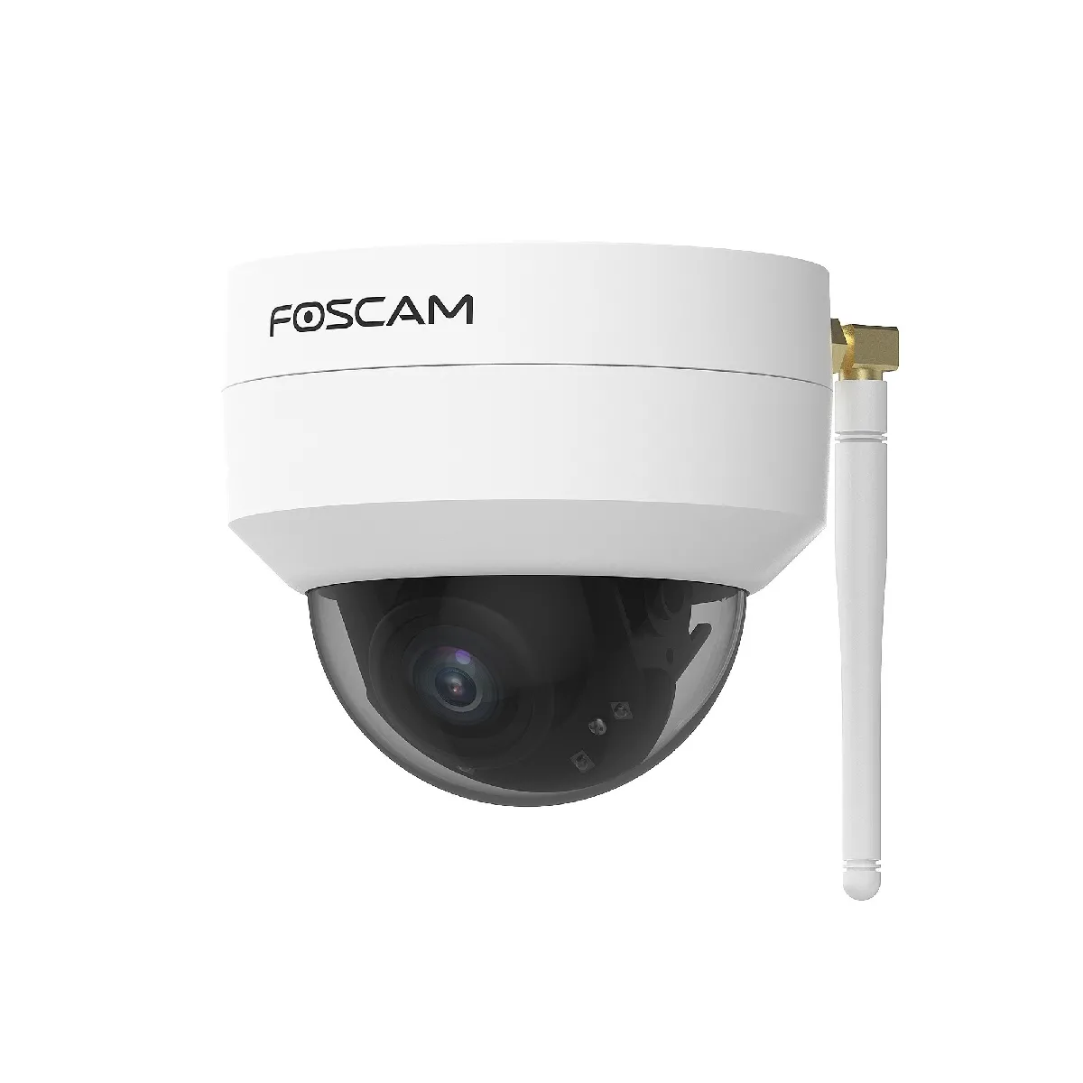 Foscam D4Z PTZ Caméra de surveillance 1 Unité Lot de 1