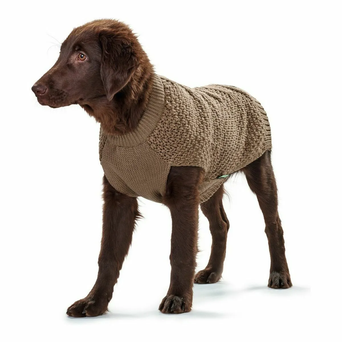 Pull pour Chien Hunter Malmö - Beige - 30 cm Pull pour Chien Hunter Malmö - Beige - 30 cm