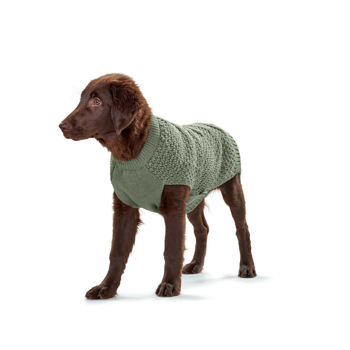 Pull pour chien Hunter Malmö - Vert Pull pour chien Hunter Malmö - Vert