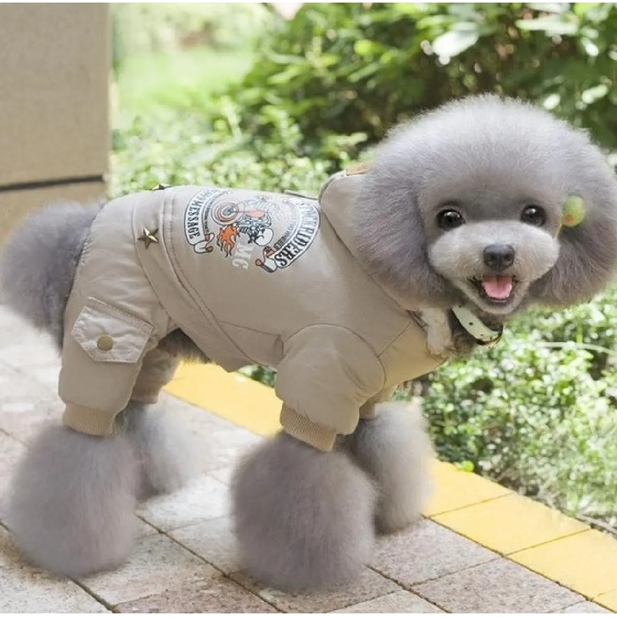 Meilleurs prix pour Manteau coton chaud chien XL