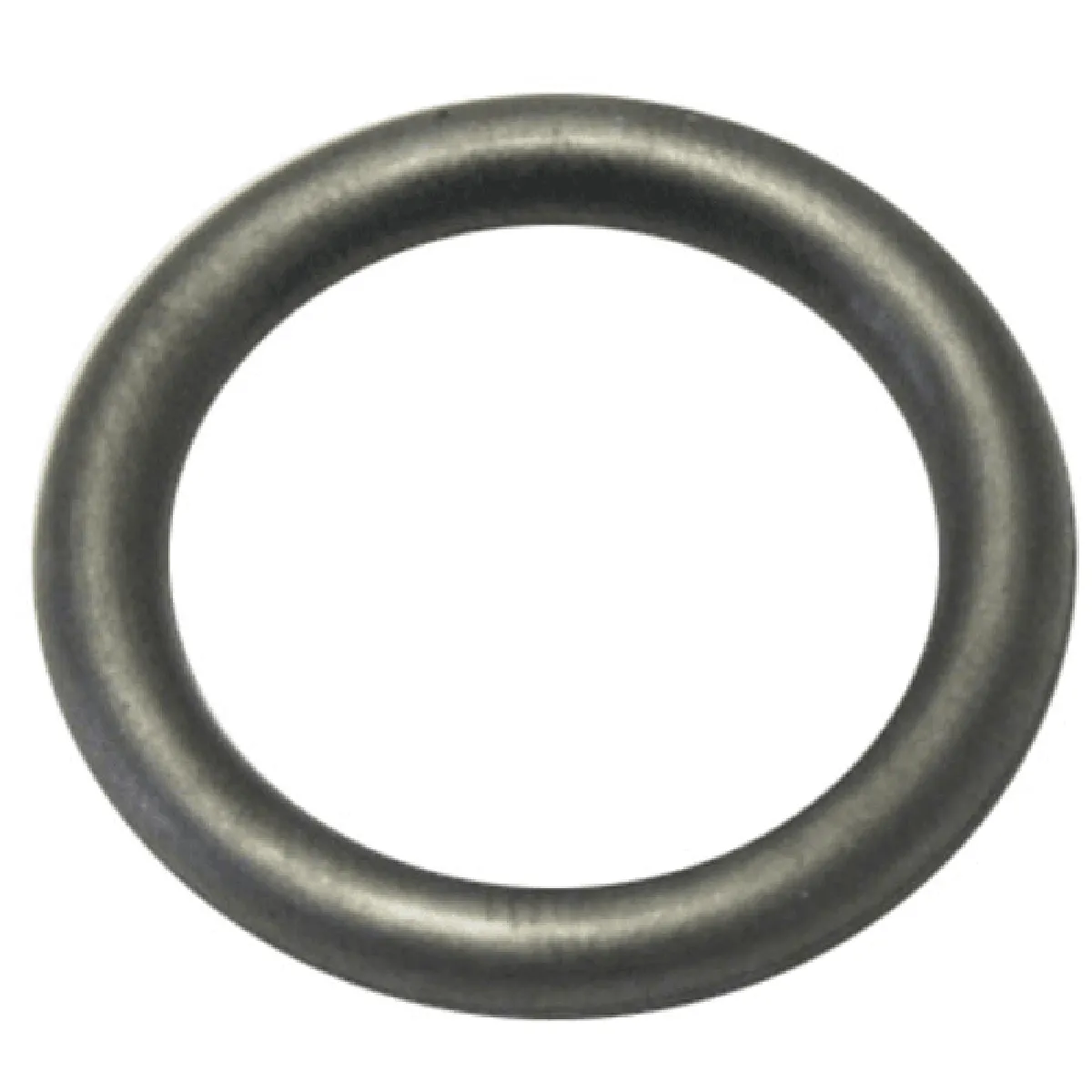 Polti Joint Torique R5 - vue 2