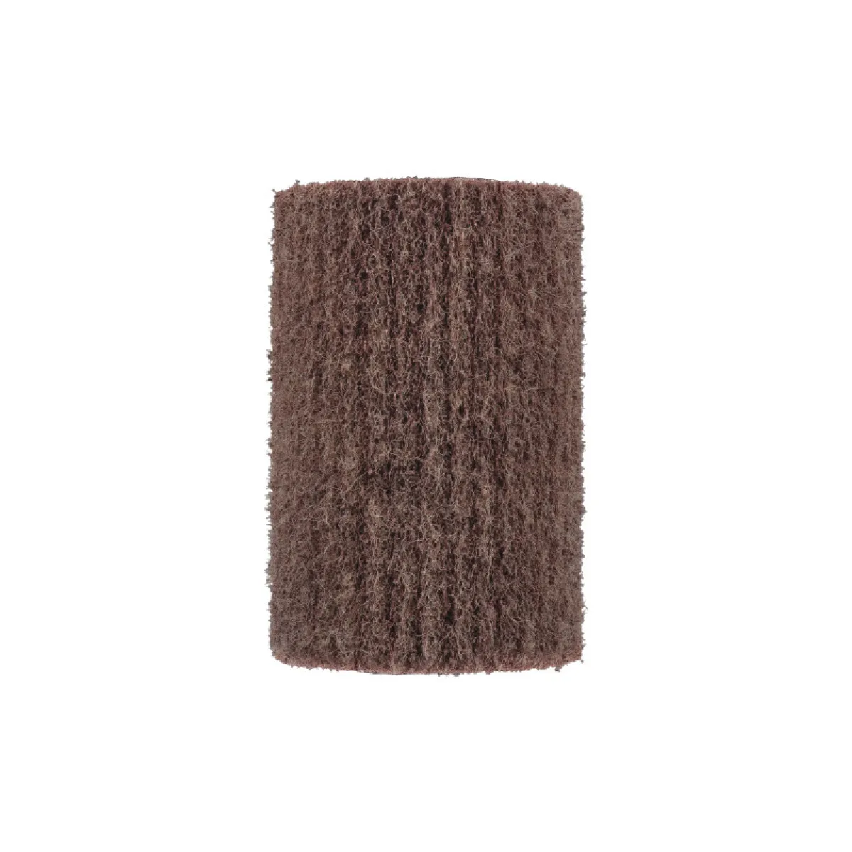 RYOBI Brosse à récurer nylon pour nettoyeur de sols