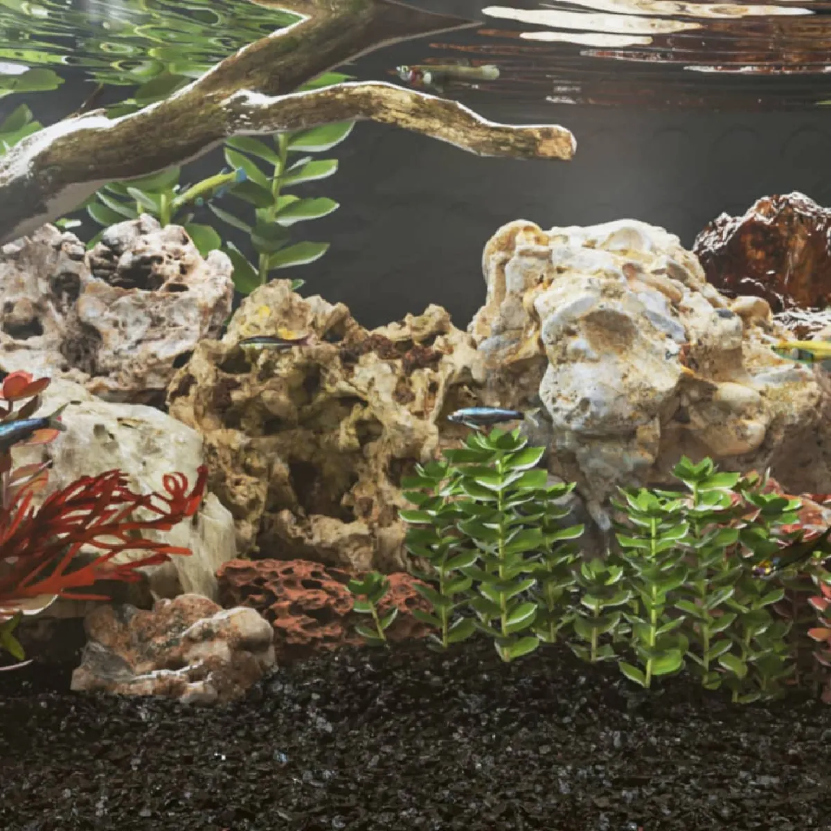 VidaXL Pierres Dragon Aquarium 25 kg - vue 2