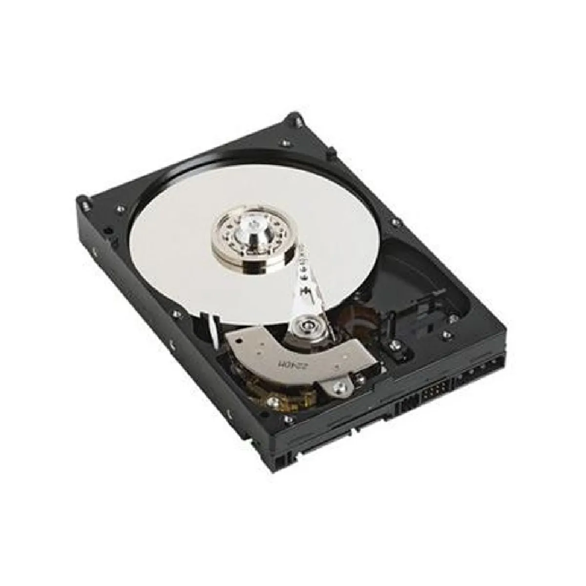 Dell 091G557
