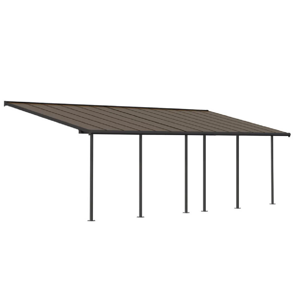 Palram Pergola adossée aluminium - vue 9