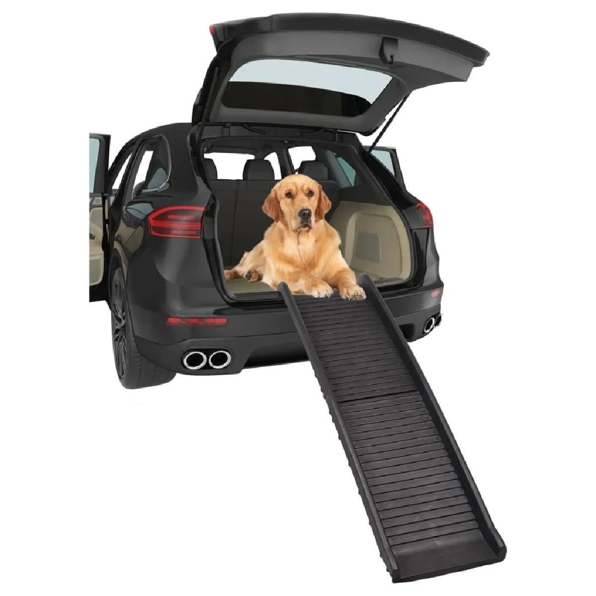 Comparer les prix de Rampe pour chien Flamingo Zenna