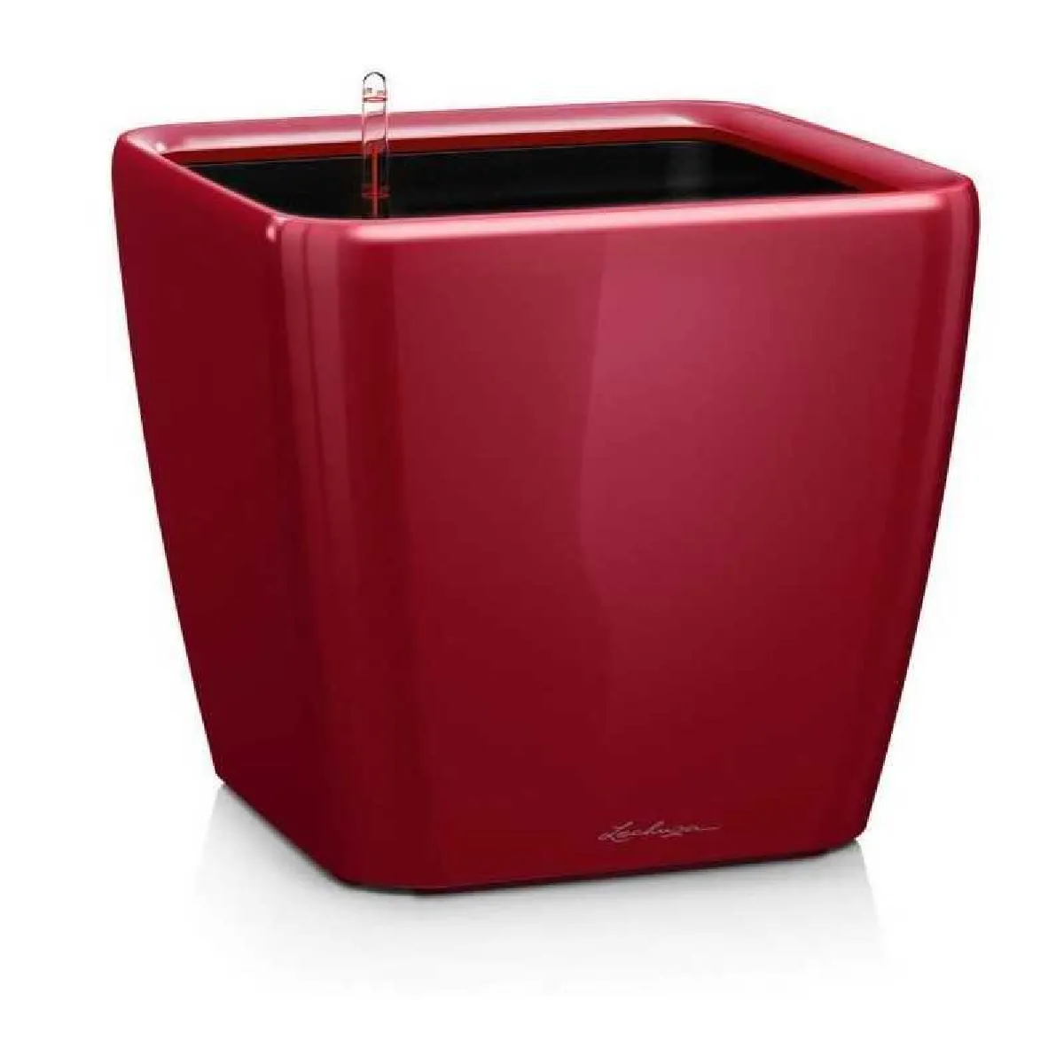 Lechuza Quadro Premium Ls 50 - 50 X 50 Cm - Couleur Au Choix