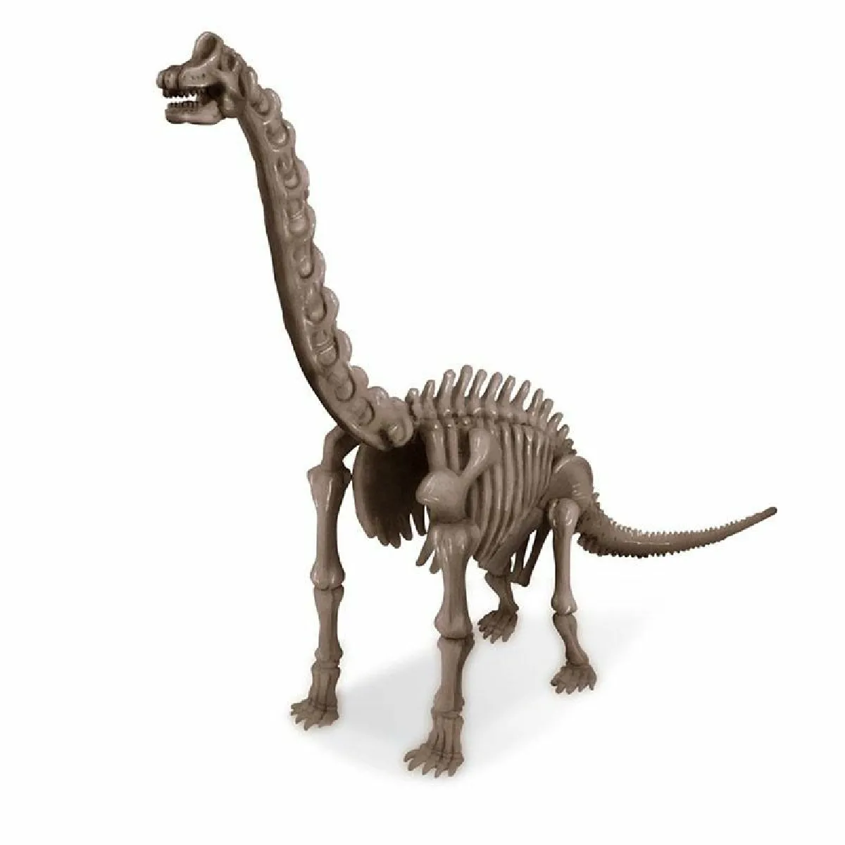 Brachiosaure D&eacute;terre ton Dinosaure Dig a dino