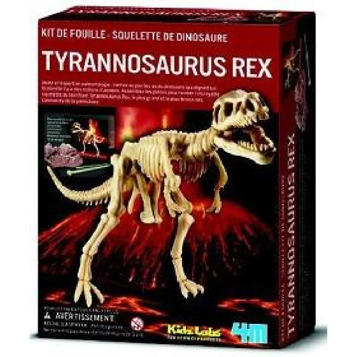 Kit de fouille Tyrannosaurus Rex PW