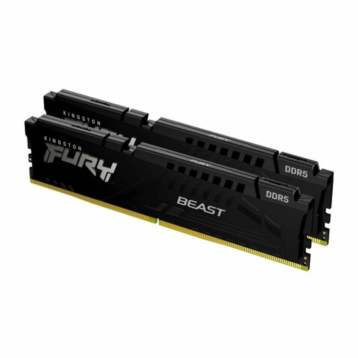 Kingston Fury Beast