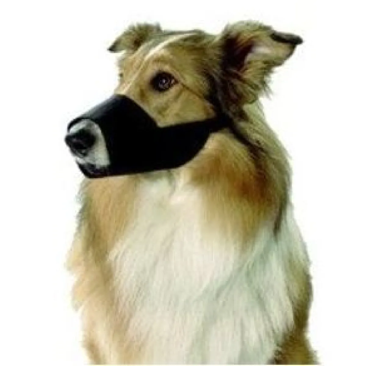 Meilleurs prix pour Kruuse Muselière Nylon