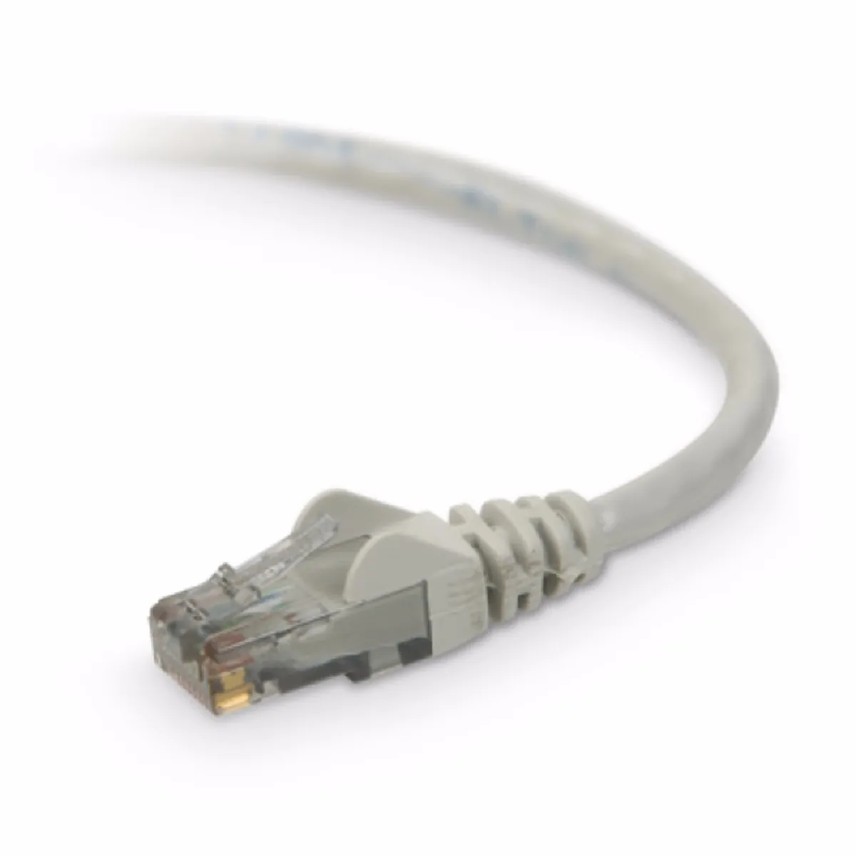 BELKIN  Parasurtenseur Ethernet RJ45 Cat6 - 1 m - Bleu/Noir/Gris