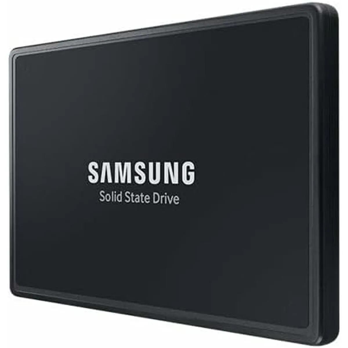 Samsung MZ QL21T900 1 92 TB SSD