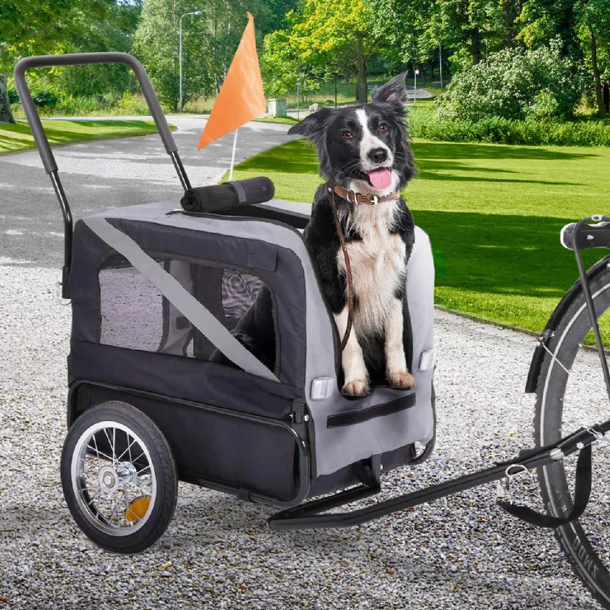 Remorque vélo pour chien