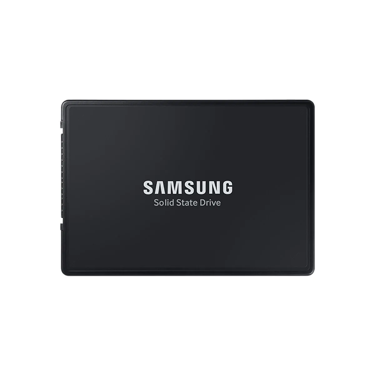 Samsung MZ QL23T800 3.84 TB